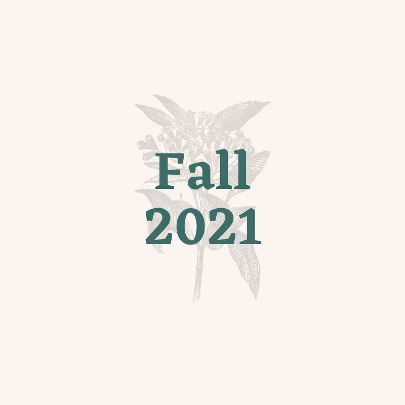 Fall 2021 Projects